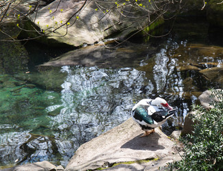 Similar image 21782818