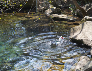 Similar image 21782819