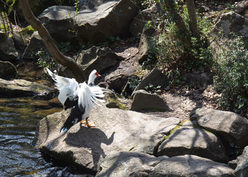 Similar image 21782820