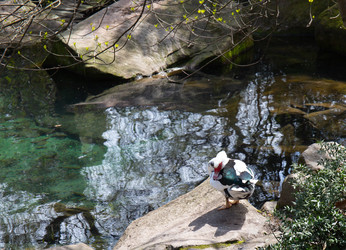 Similar image 21782821