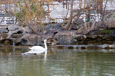 Similar image 21782823