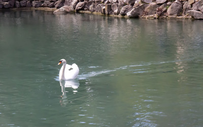 Similar image 21782824