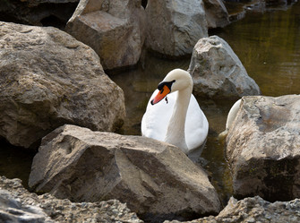 Similar image 21782825