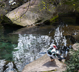 Similar image 21782826