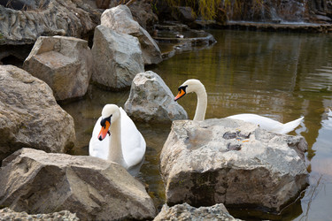 Similar image 21782827