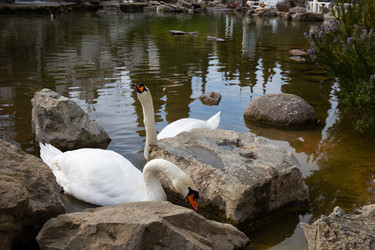 Similar image 21782828