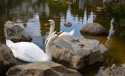 Similar image 21782829