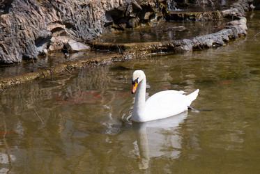 Similar image 21782831