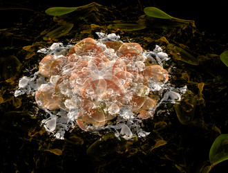 Similar image 21784254