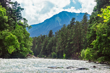 Similar image 21780975