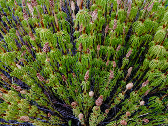 Similar image 21782176