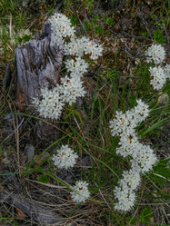 Similar image 21782179