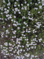 Similar image 21782180