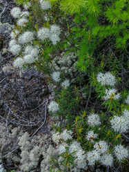 Similar image 21782181