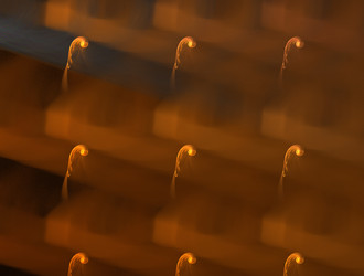 Similar image 21784550