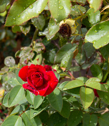 Similar image 21781573