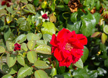 Similar image 21781574