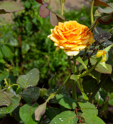 Similar image 21781577