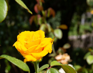 Similar image 21781583