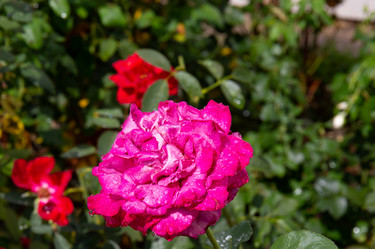 Similar image 21781590