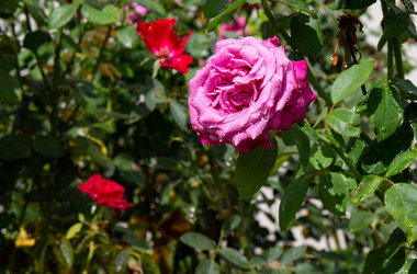 Similar image 21781594