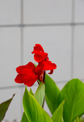 Similar image 21781597