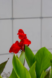 Similar image 21782438