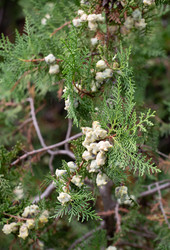 Similar image 21782442