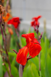 Similar image 21782444