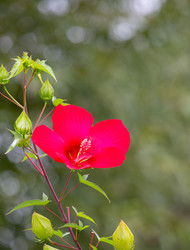 Similar image 21782446