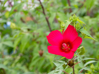 Similar image 21782448