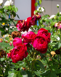 Similar image 21782449