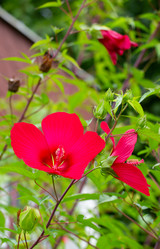 Similar image 21782450