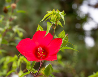 Similar image 21782452