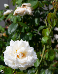 Similar image 21782453