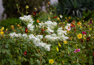 Similar image 21782454