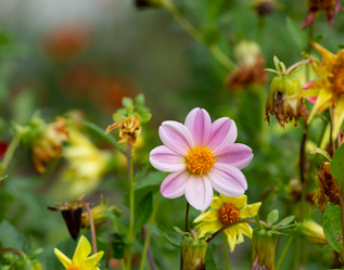 Similar image 21782658