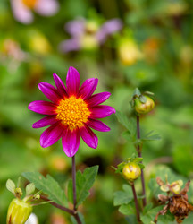 Similar image 21782660