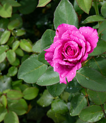 Similar image 21782661