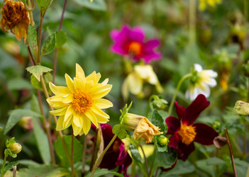 Similar image 21782663