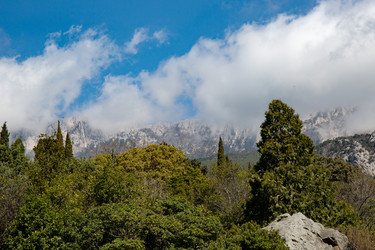 Similar image 21782671