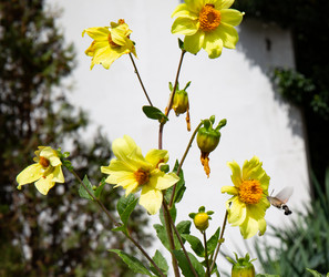 Similar image 21782672