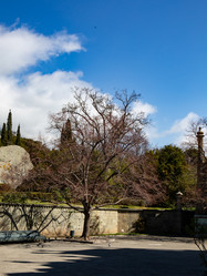 Similar image 21782675