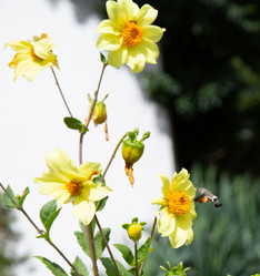 Similar image 21782676