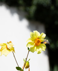 Similar image 21782678