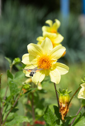 Similar image 21782680