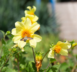 Similar image 21782682