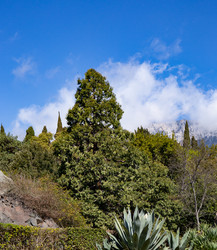 Similar image 21782683