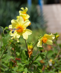 Similar image 21782684