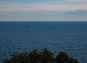 Similar image 21782685